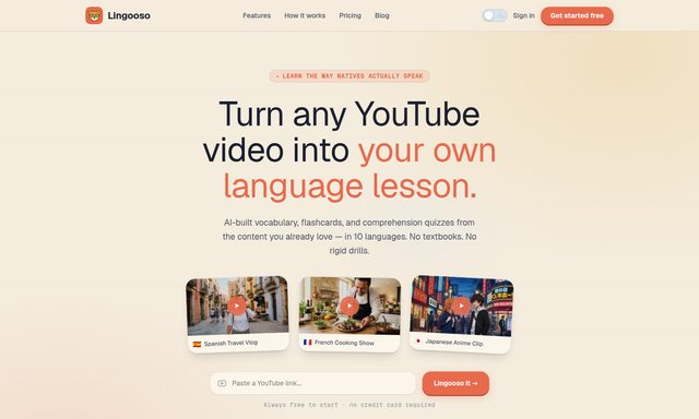 Lingooso language lesson product preview