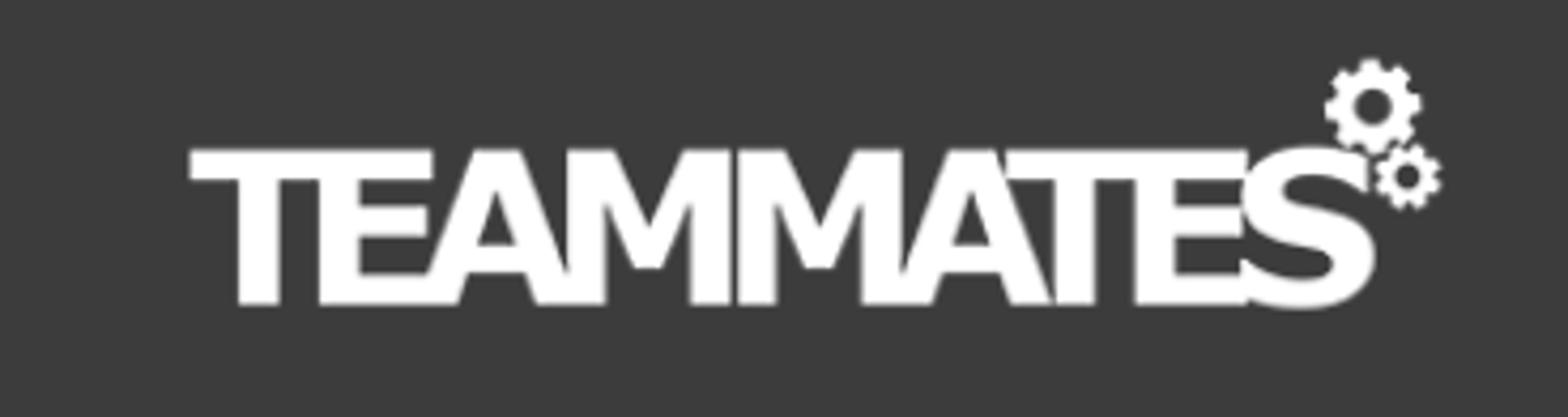 TEAMMATES open-source project